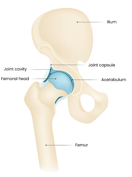 Shoulder physical therapy