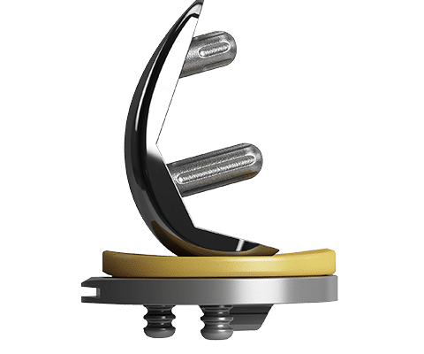 EMPOWR Partial Knee