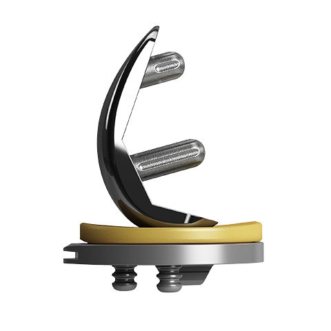 EMPOWR Partial Knee