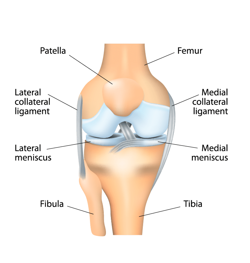 Shoulder physical therapy